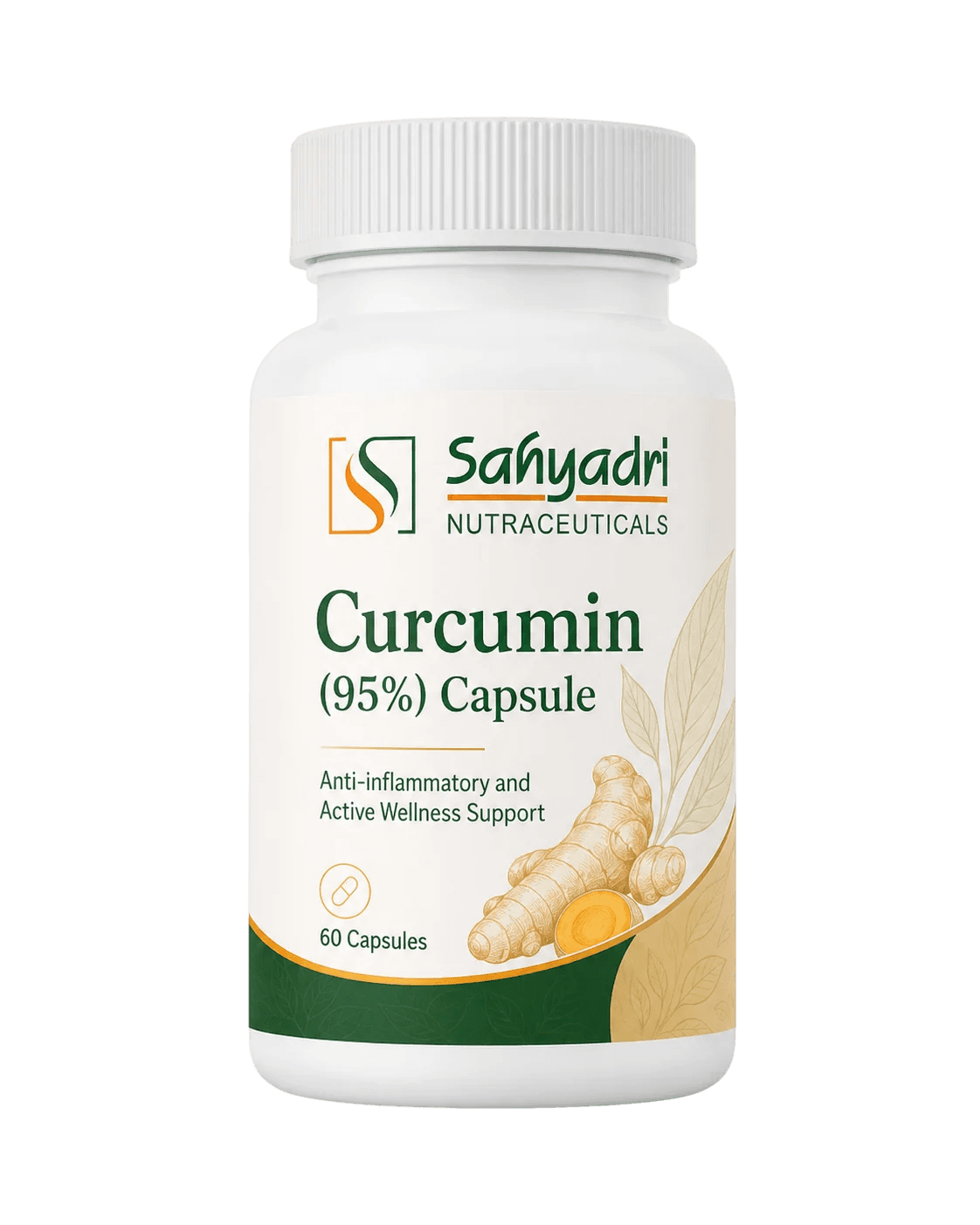 Curcumin (95%) Capsule